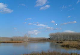 Estanys de Sils